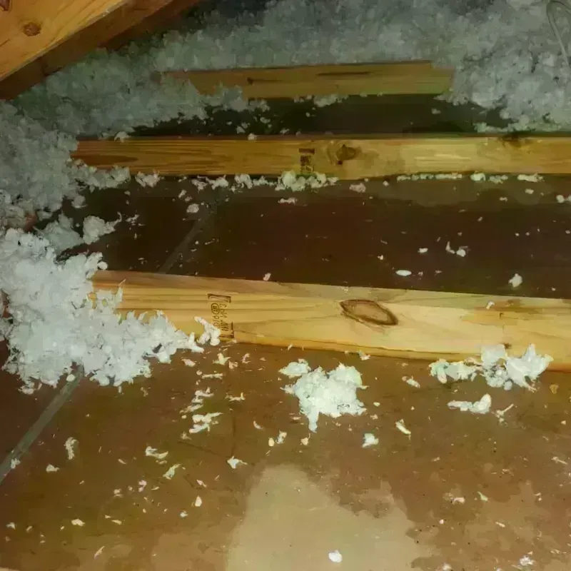 Attic Water Damage in Olmos Park, TX