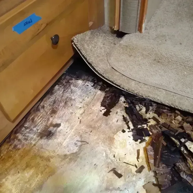 Wood Floor Water Damage in Olmos Park, TX